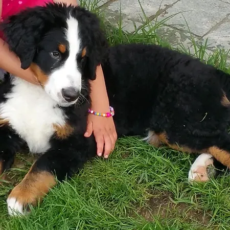 Bed & Breakfast Bed And Breakfast Giaveno